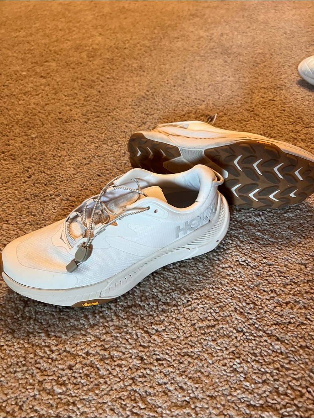 Hoka One One Blue Shoe Box with Label